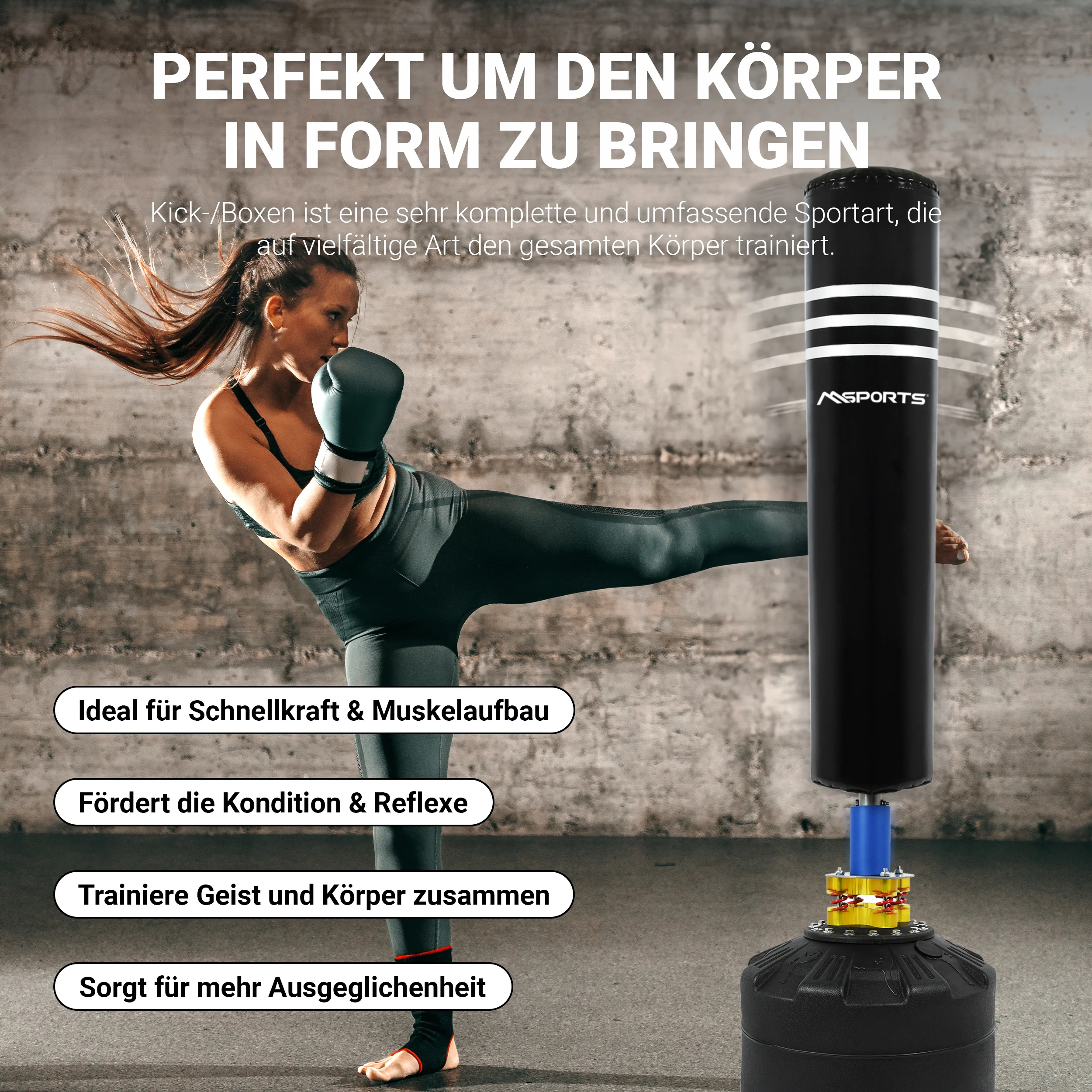 2025 Standboxsack Premium