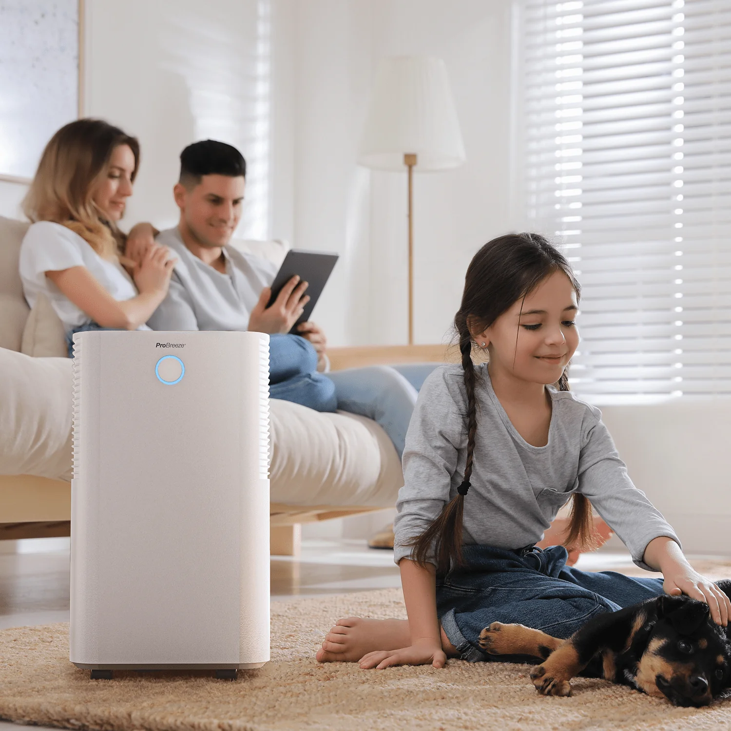 OmniDry Stilstaande Laagverbruik Ontvochtiger van 12L - Wit