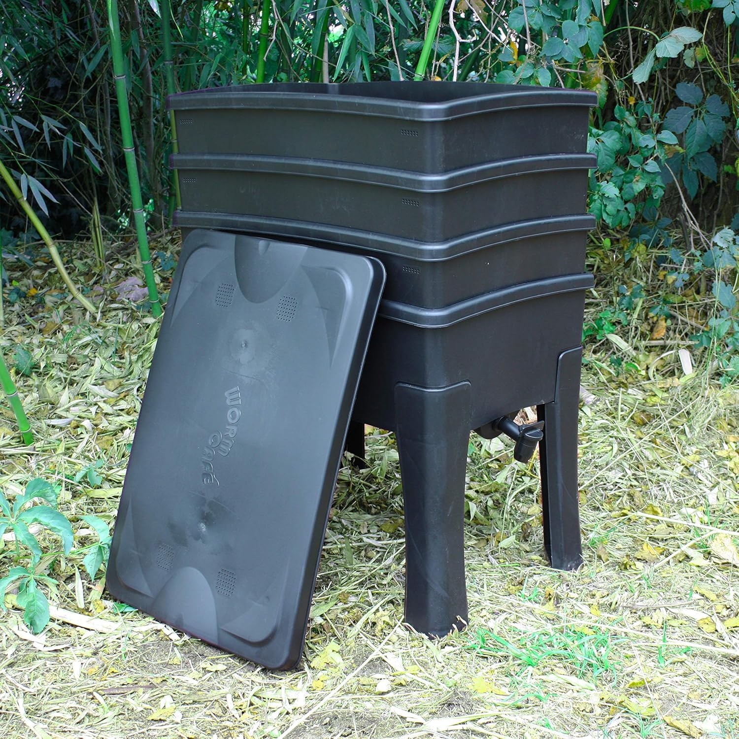 Worm Café, 3-bin Worm Box I Complete Kit I Large Capacity 96 liters