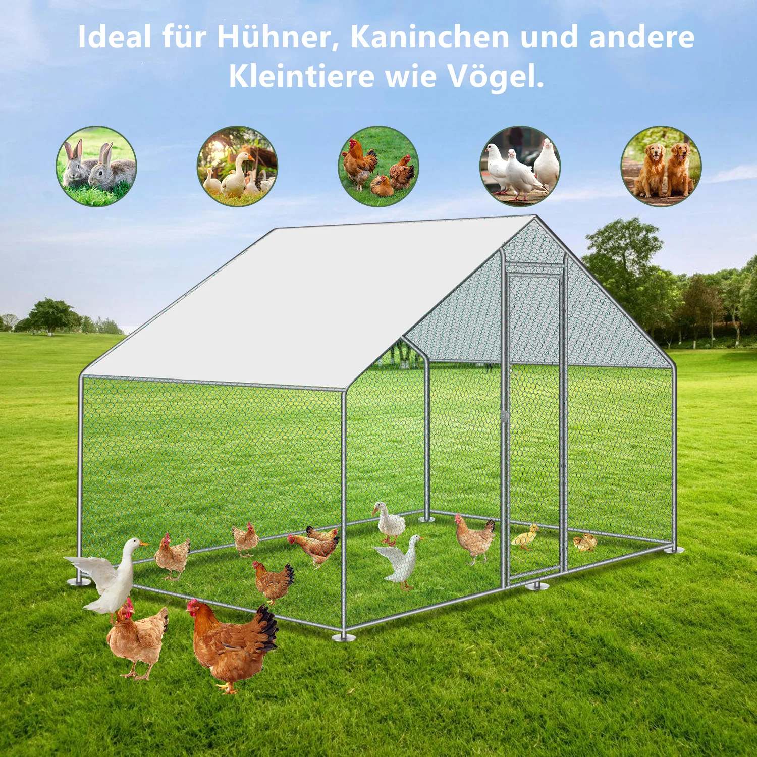 2025 Sonnewelt Kippenhok Metalen Vrijloopren met Dakzeil 3x2x2m