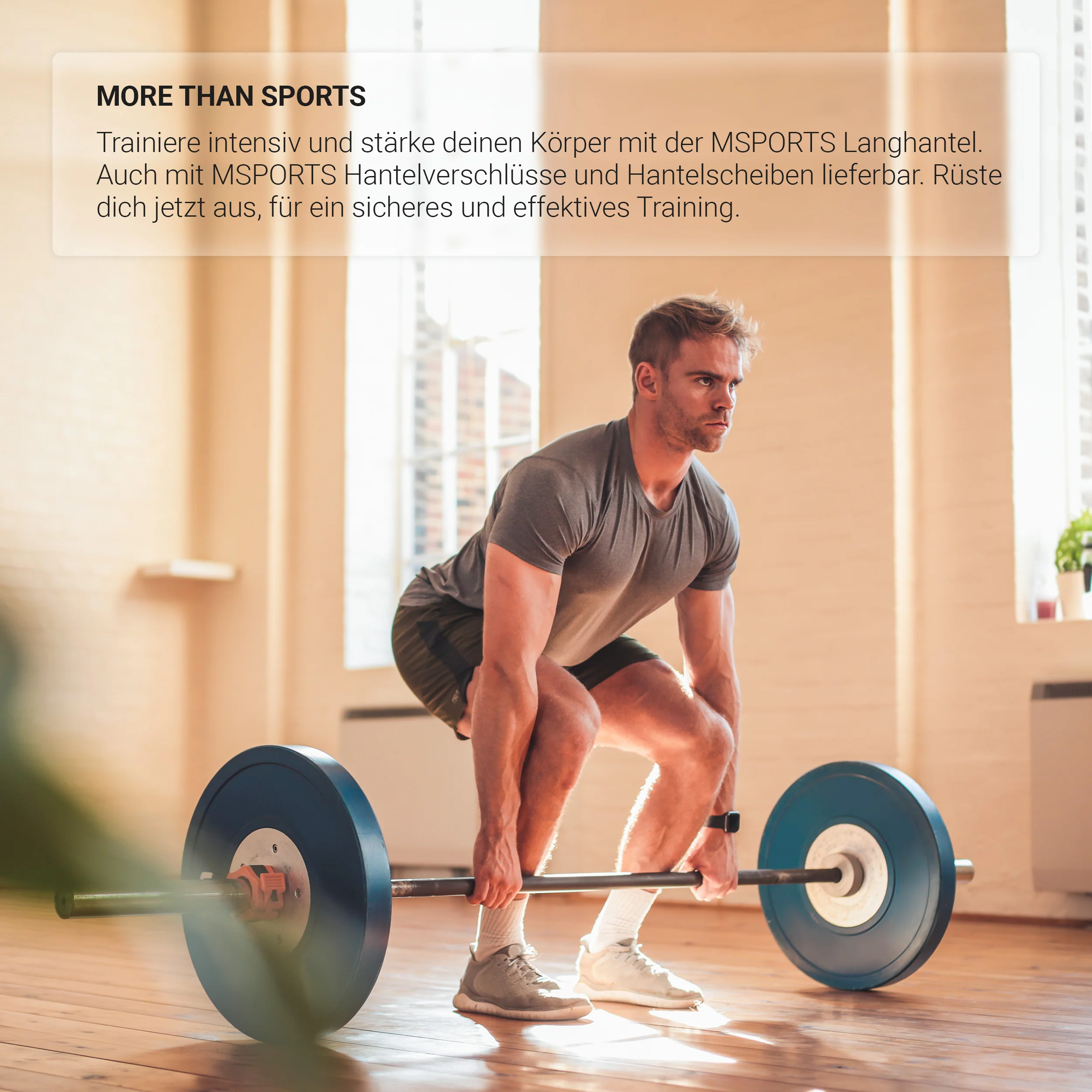 2025 Olympia Langhantelstange