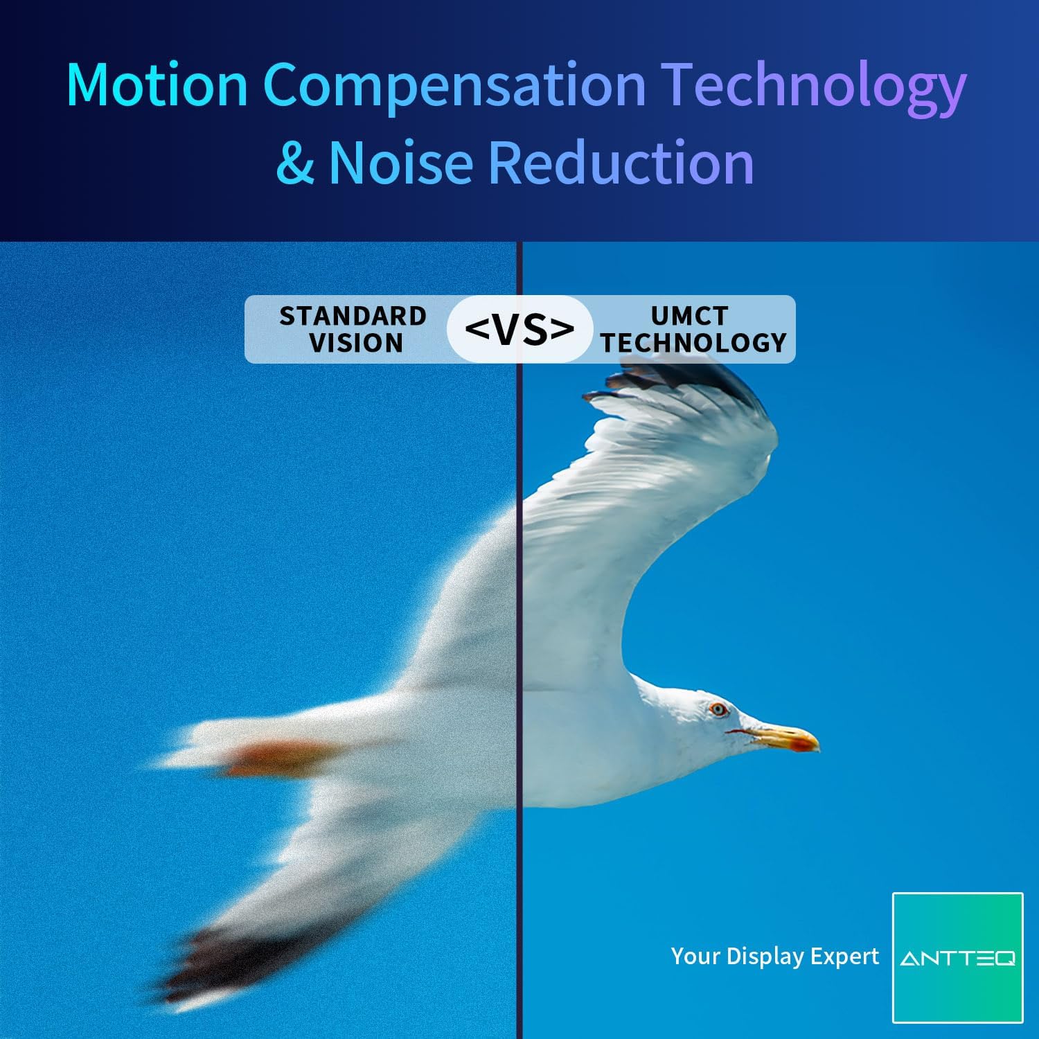 ANTTEQ AB42D1 TV 42 Inch (TV 106 cm), Dolby Audio, LED, HDMI, Media Player via USB, Digital Audio Output, Triple Tuner DVB-C/T2/S2, CI+, Hotel Mode Included