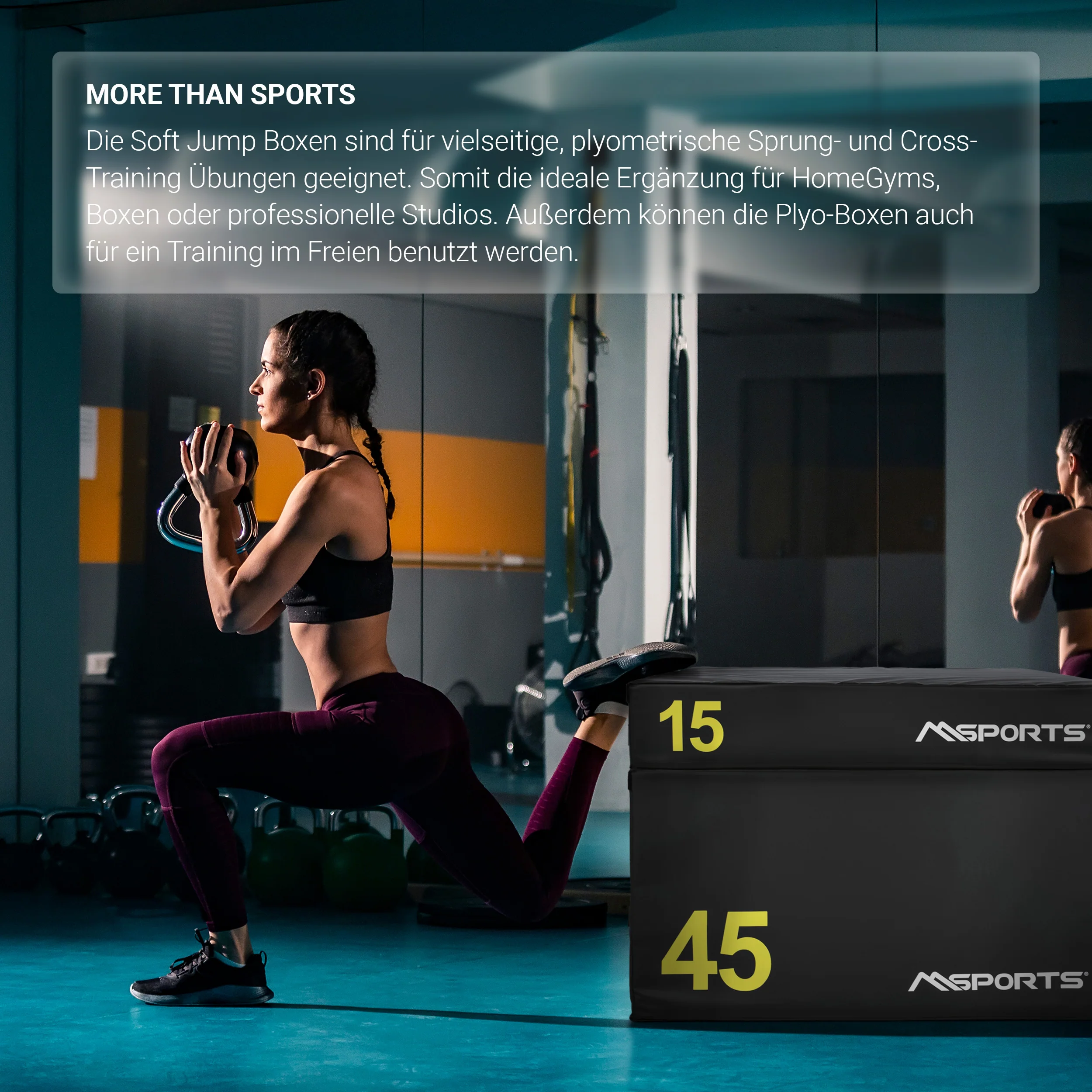 2025 Plyo Box Professional