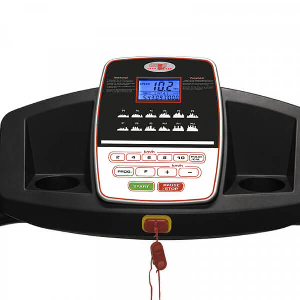 2025 Loopband CS 300