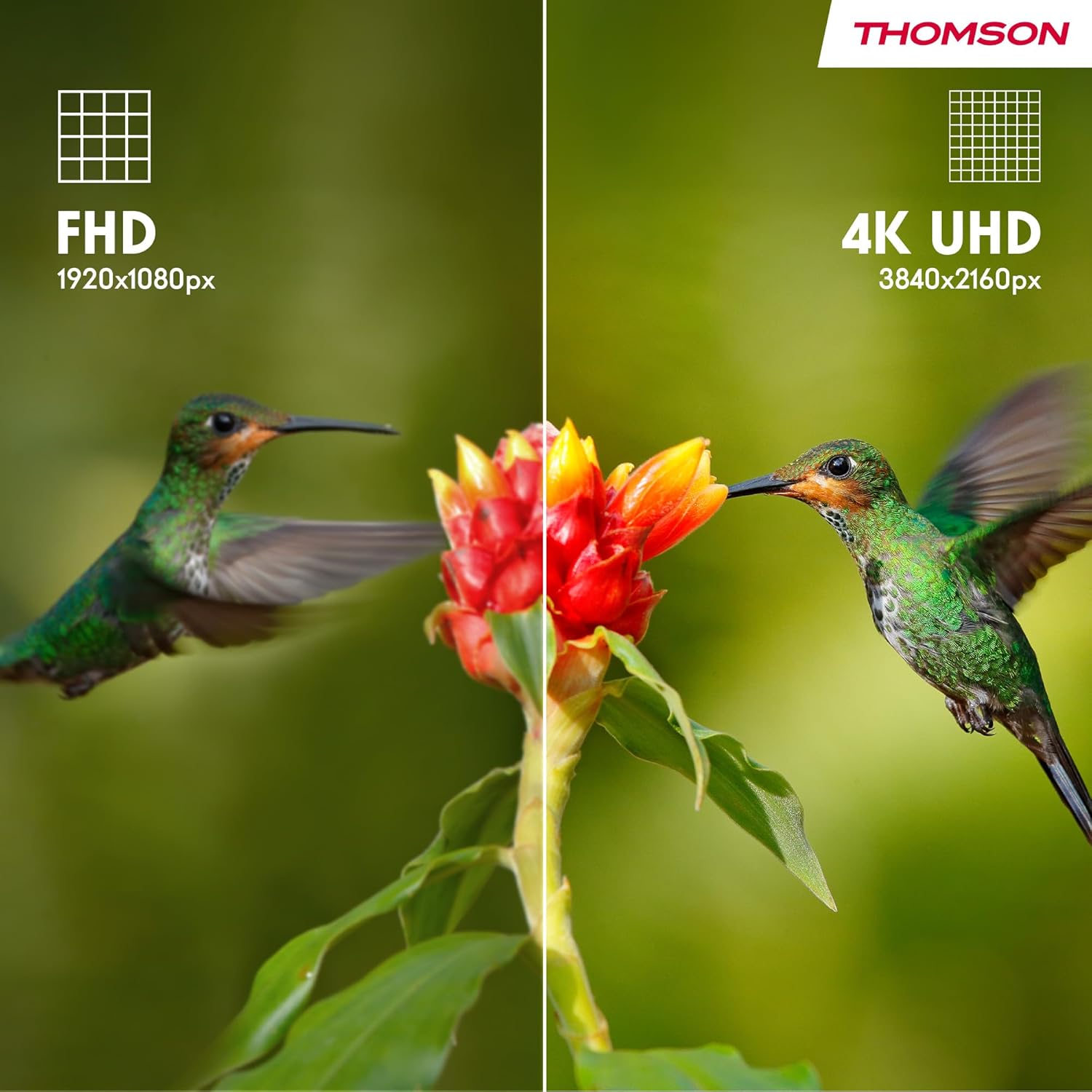 THOMSON 32 Inch (81cm) Full HD Google Smart TV, Wi-Fi, Dolby Audio, HDR10, Bluetooth 5.1, Triple Tuner (Cable/Satellite/Antenna), HDMI, CI+, A+ Panel - 32FG2S14