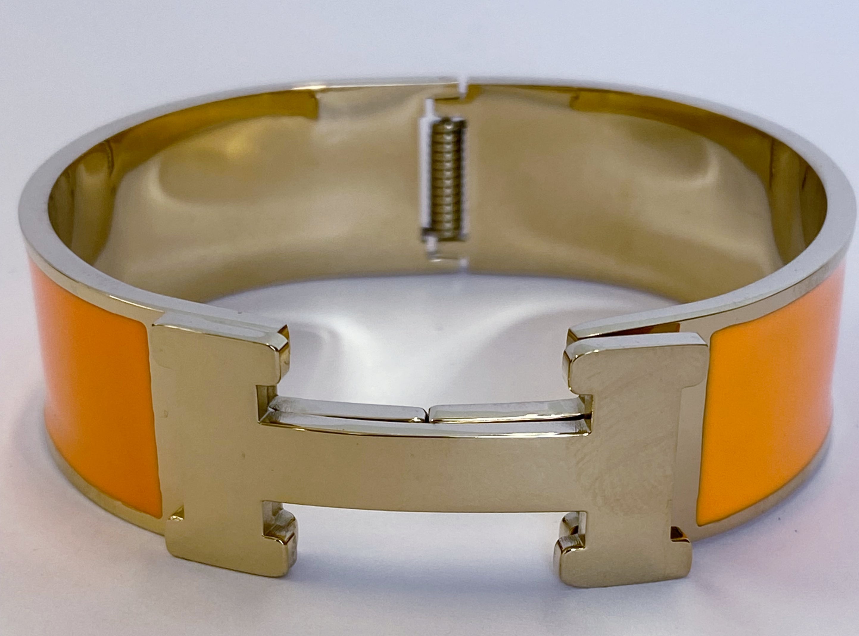 Zirconite enamel hinged Stainless Steel Bangle. 500B6487