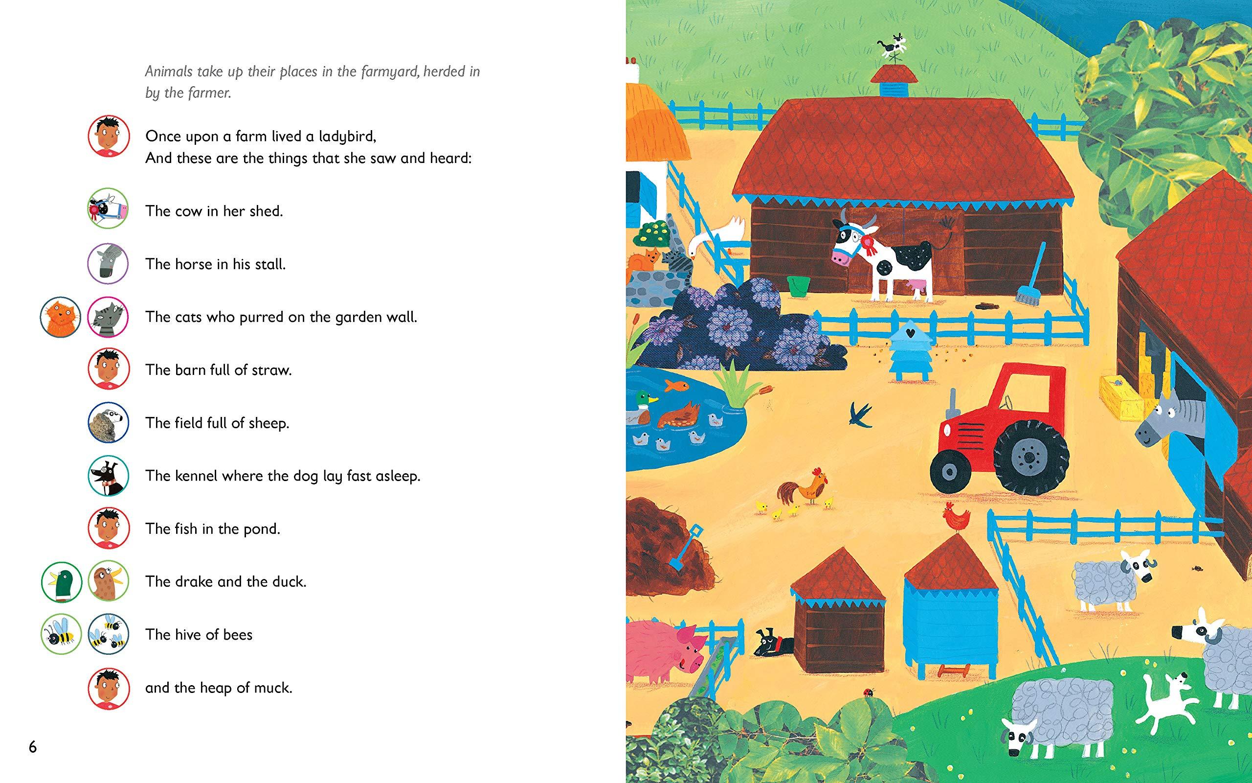 What the Ladybird Heard Play: World Book Day 2021 By Julia Donaldson- Paperback -Age 0-5