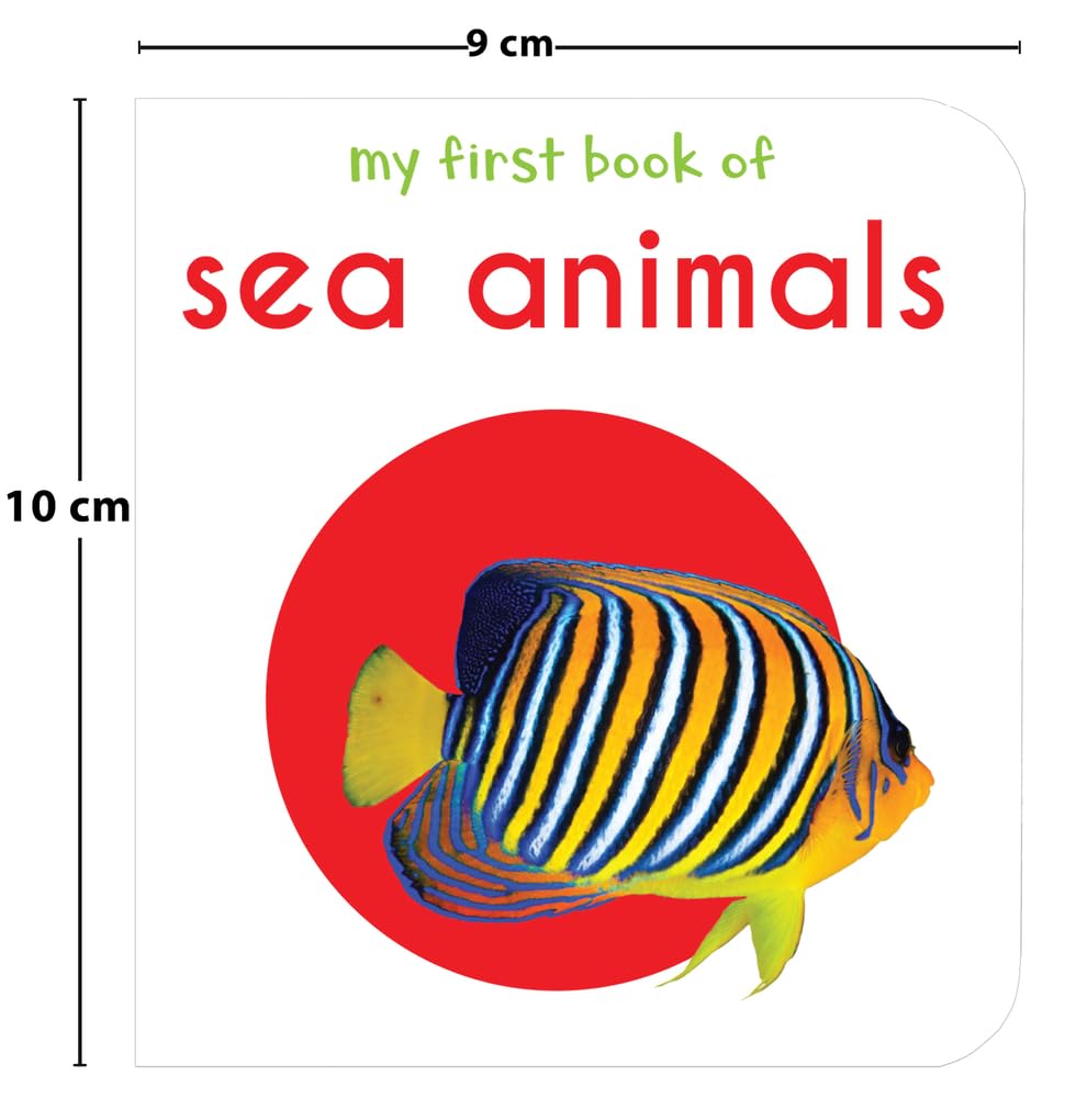 My First Library : Boxset of 10 Board Books for Kids (My First Book of) Board book