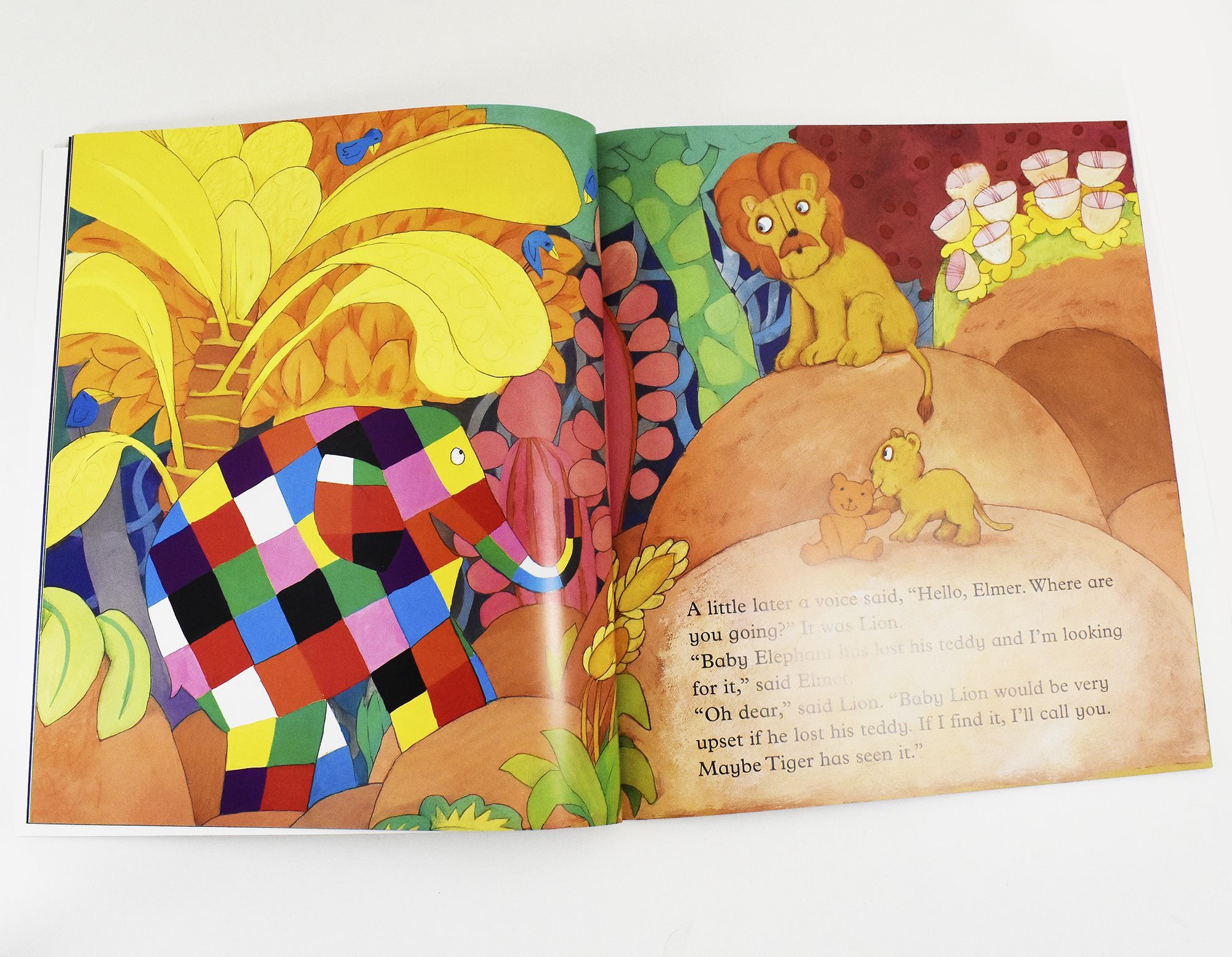 Elmer Picture 12 Books Collection by David McKee - Ages 5+ - Paperback