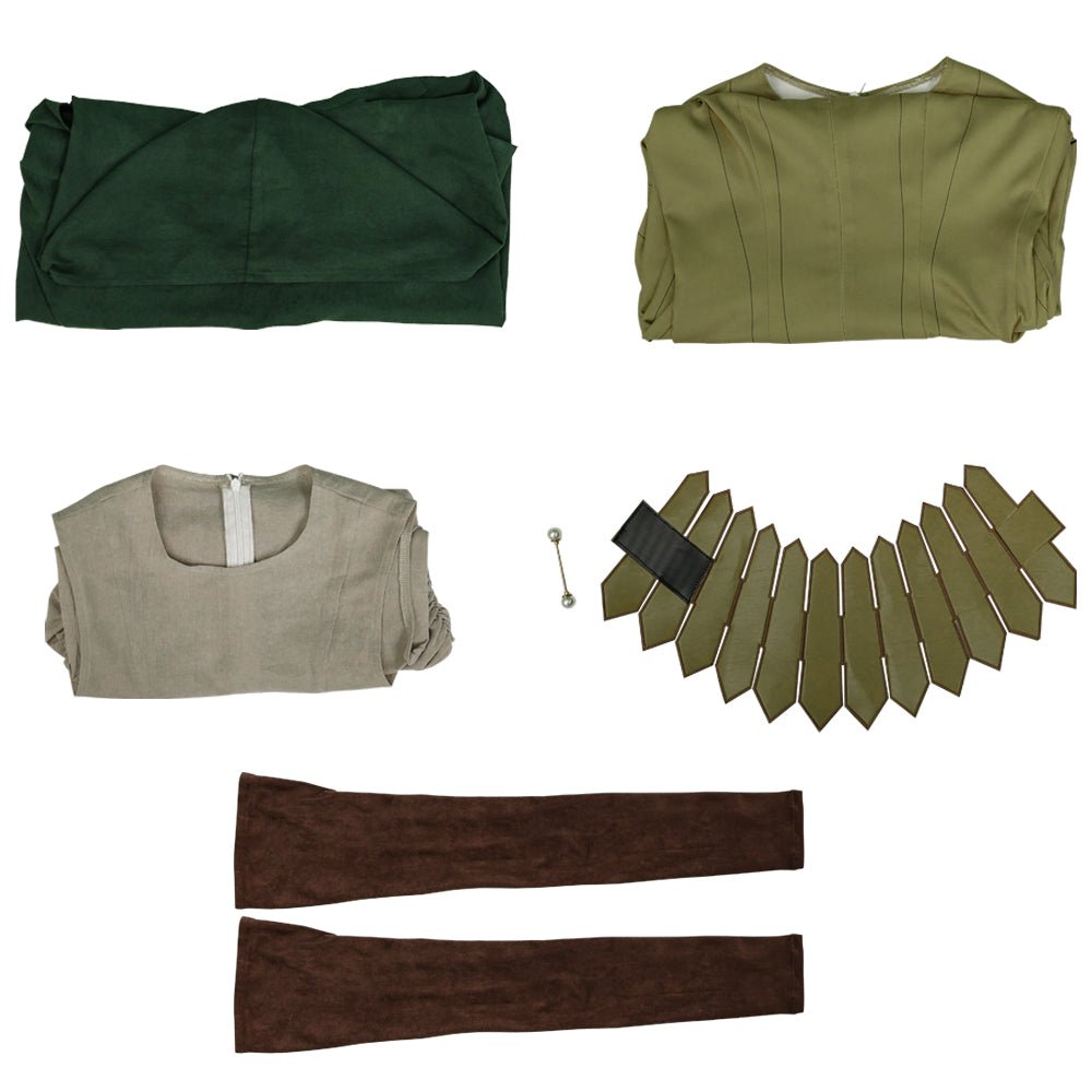 Costume Cosplay Delicious in Dungeon avec Perruque, Robe, Tenue Everak, Halloween