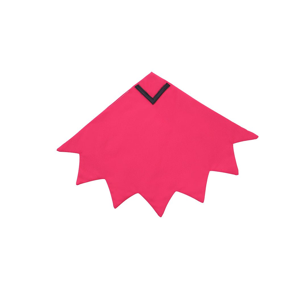 Costume Cosplay Zinnia de Pokémon Omega Ruby & Alpha Sapphire