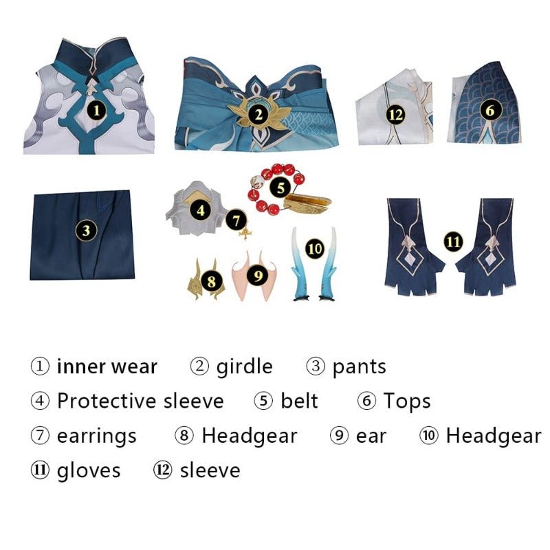 Costume Cosplay Dan Heng Honkai: Star Rail Fait Main pour Halloween et Événements