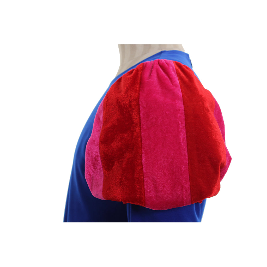 Costume Cosplay Disney La Belle au Bois Dormant | Série Aurora & Prince Philippe | Déguisements Couples Halloween