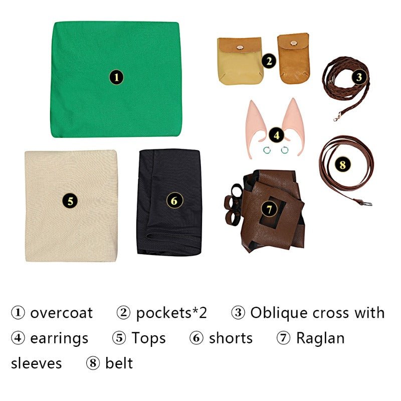 Costume Cosplay Link de Breath of the Wild 2 pour Adultes