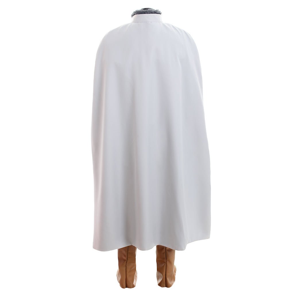 Costume Cosplay Arslan: Les Guerriers de la Légende - Tenue Premium pour Fans d'Anime