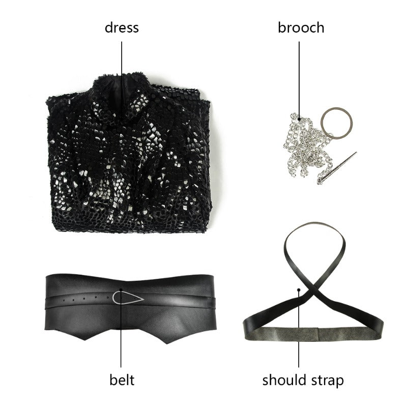 Costume Cosplay Sansa Stark Robe Longue Ensemble Complet pour Femme Tenue de Fête d'Halloween