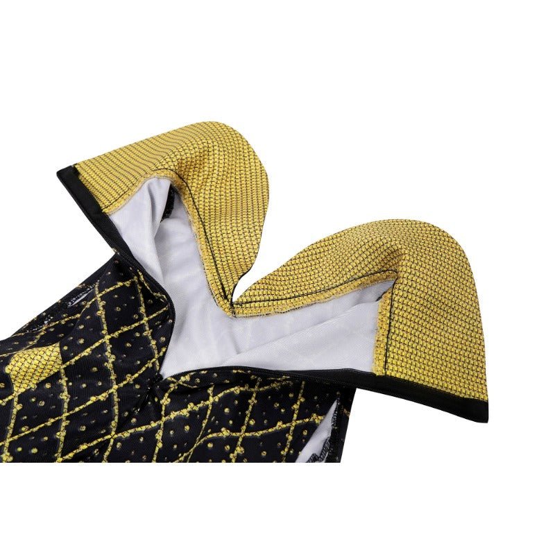 Costume Cosplay Élémental pour Enfants - Robe Ember, Veste Wade, Tenue d'Halloween