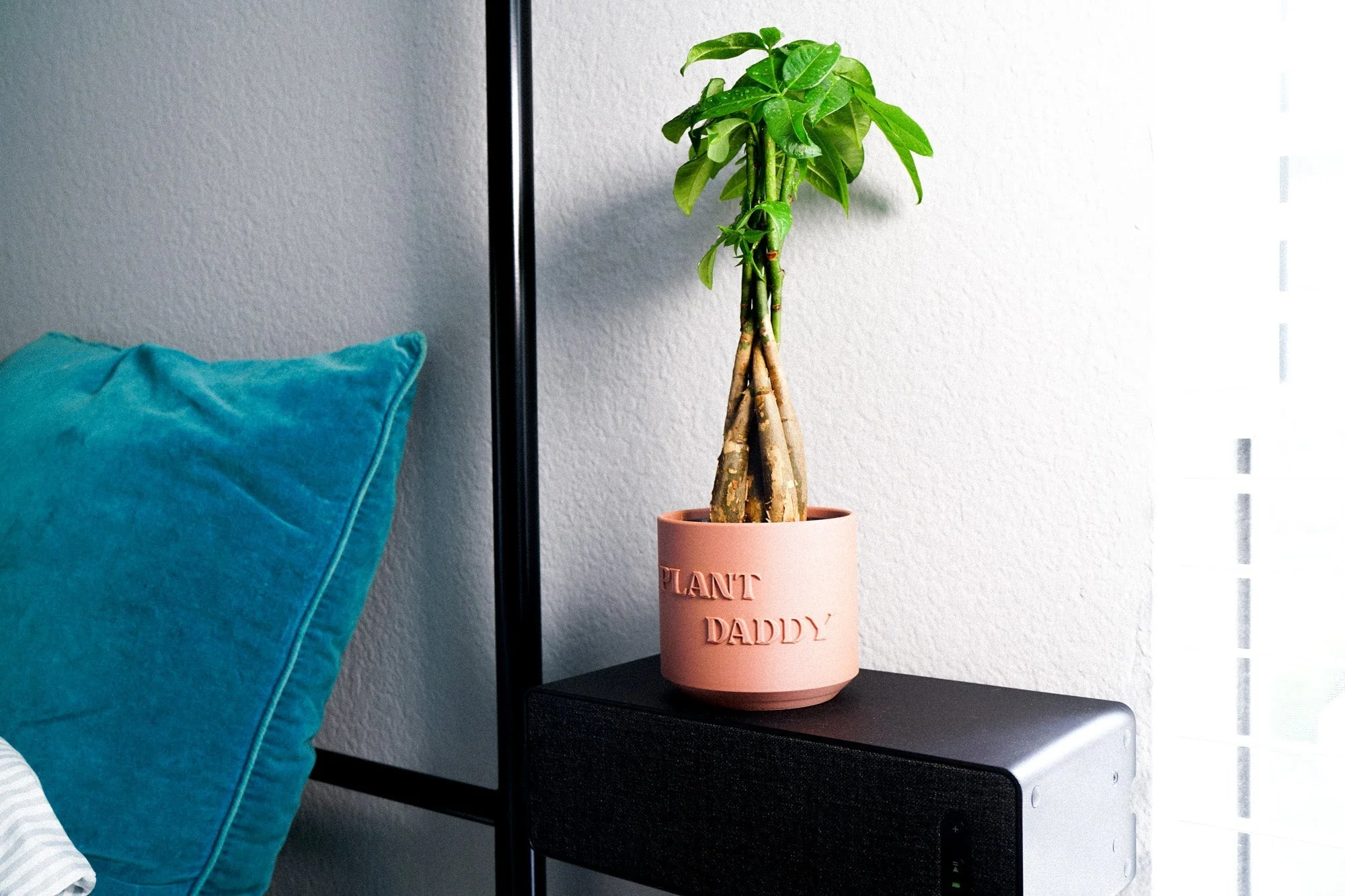Plant Daddy Planter by Rosebud HomeGoods