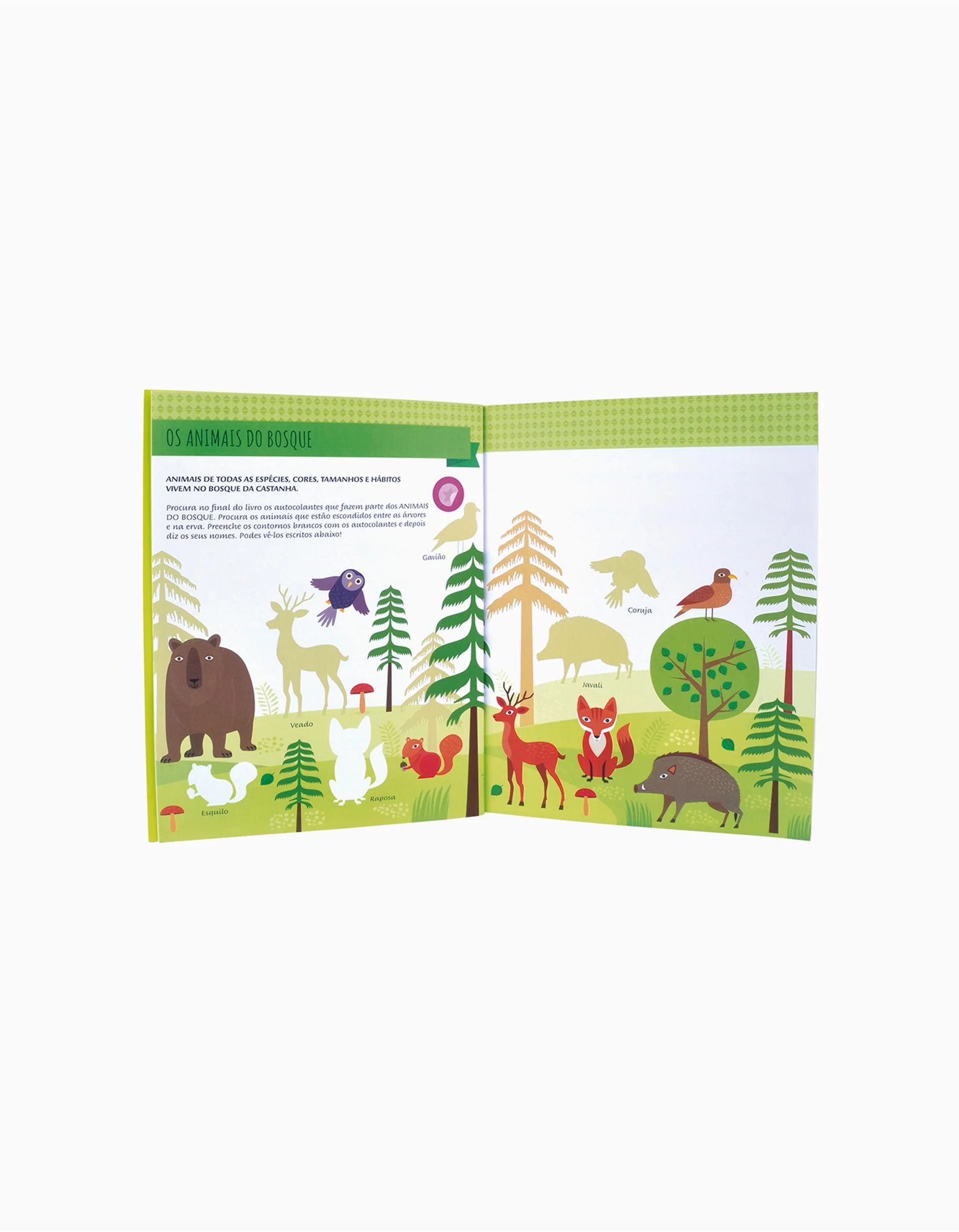 Edicare Animal Activity Book 2A+