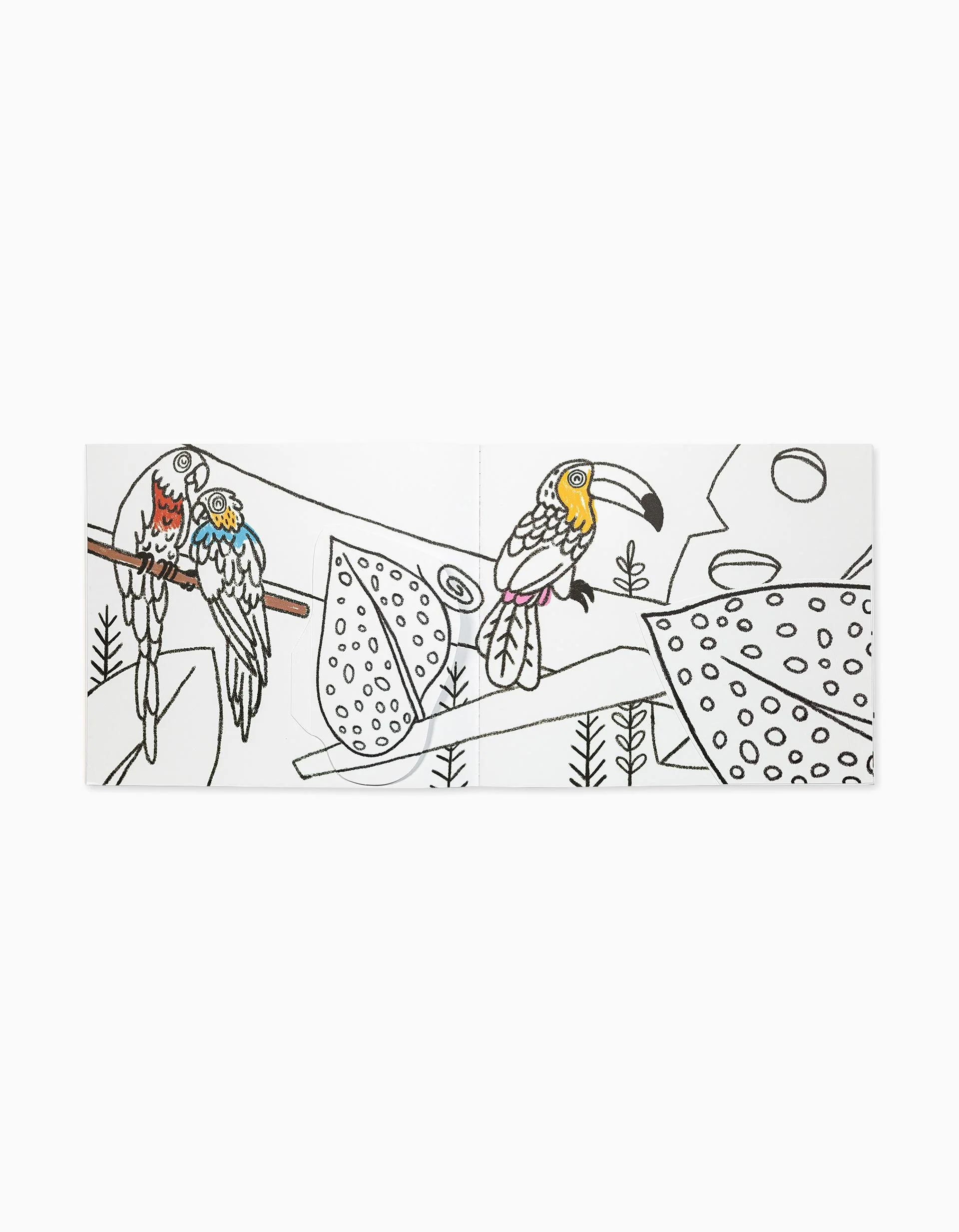 Coloring Book 1001 Colours Tropical Edicare 4Y+