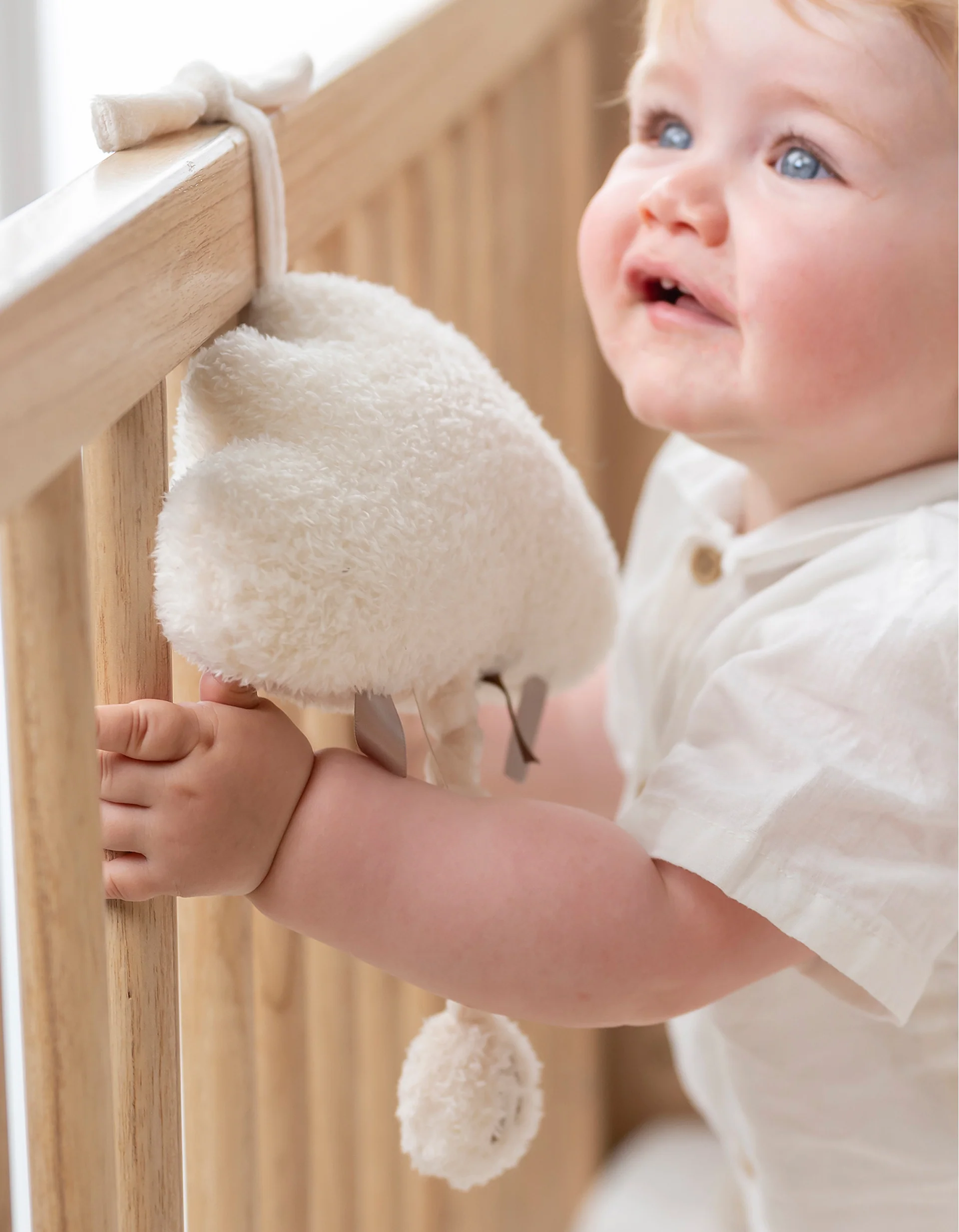 Musical Plush Nattou Cloud 0M+