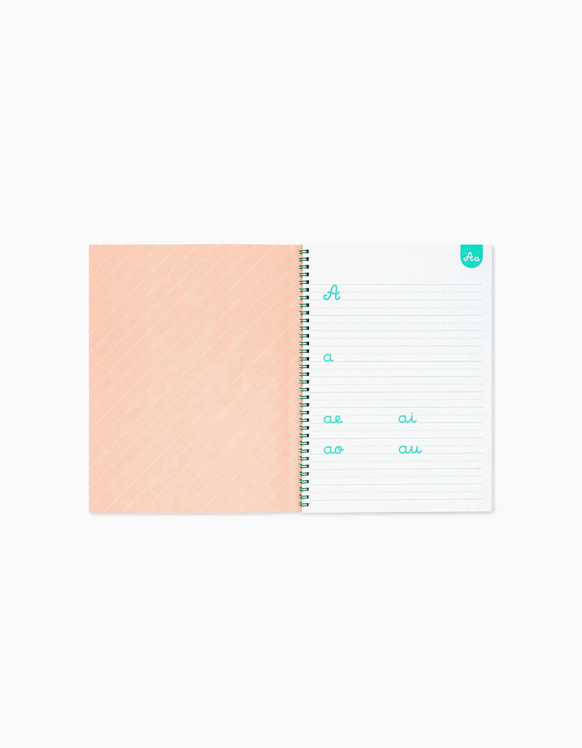 Calligraphy Book Edicare 5Y+