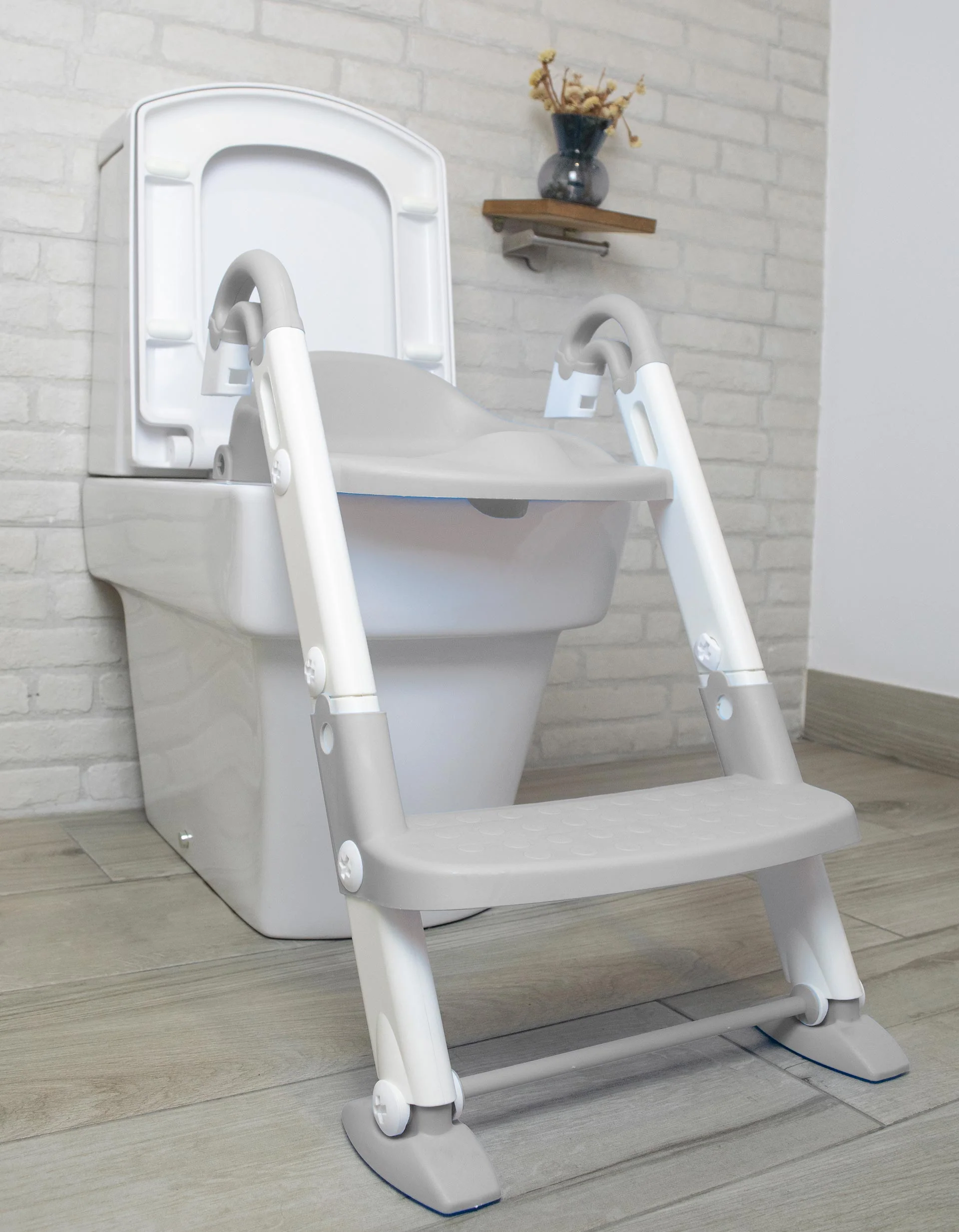 3 in 1 Potty With Ladder Asalvo, Grey