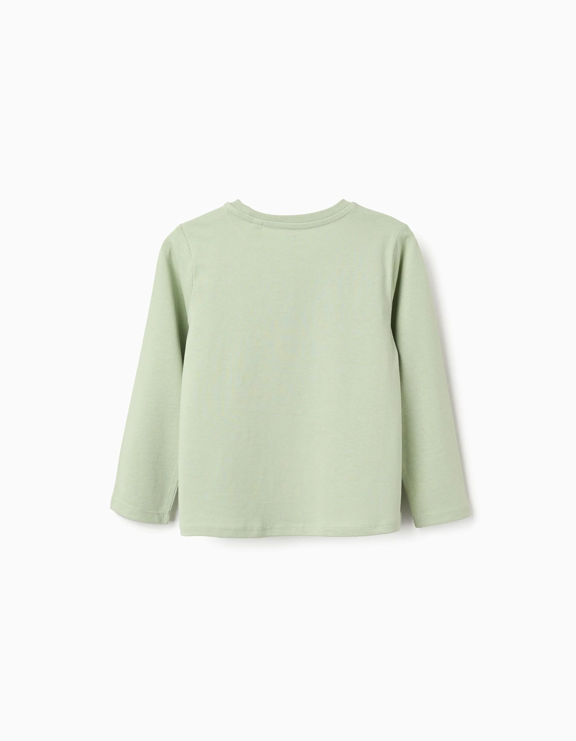 Long sleeve cotton T-shirt with 'Fully Awake' print for girls, light green