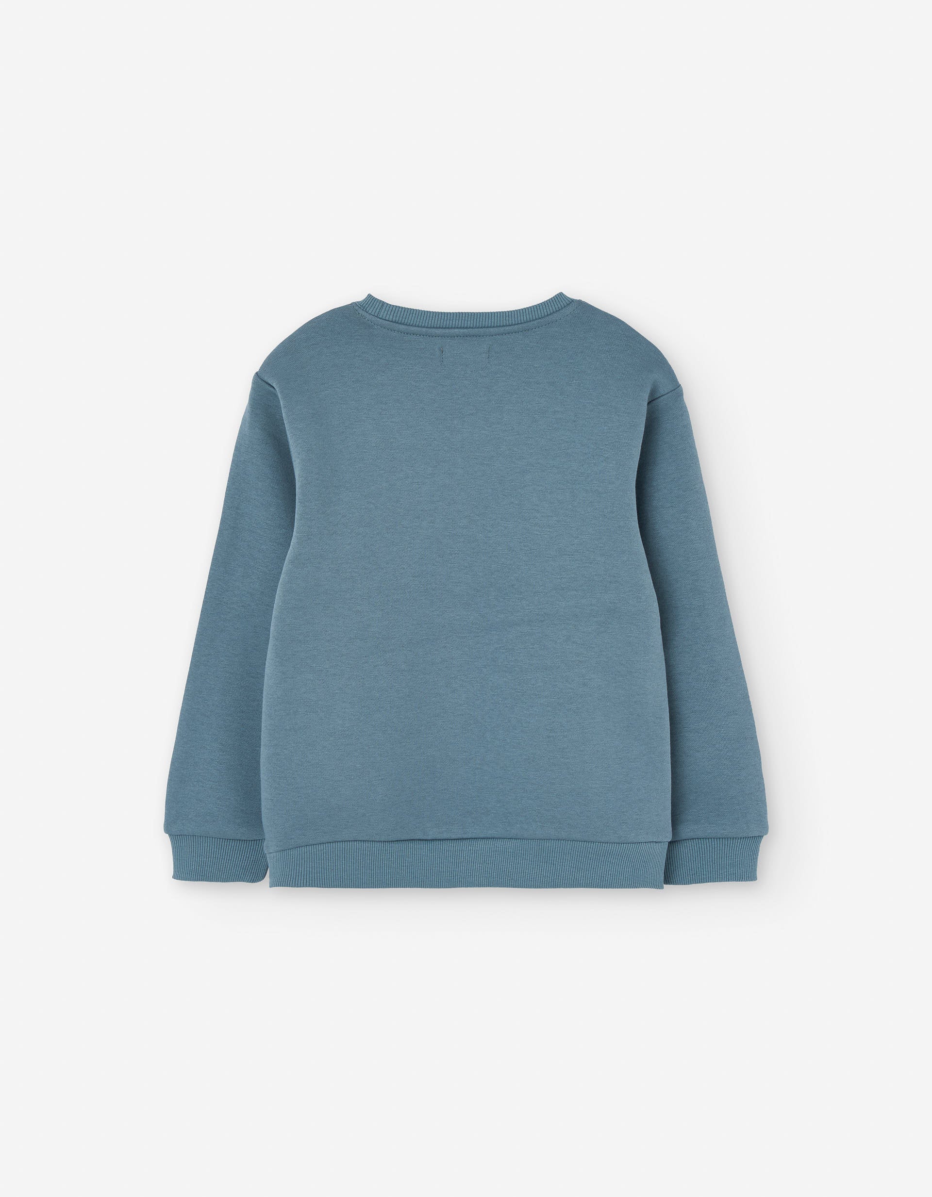 Cotton brushed sweatshirt with Enjoy Outside print for boys, blue