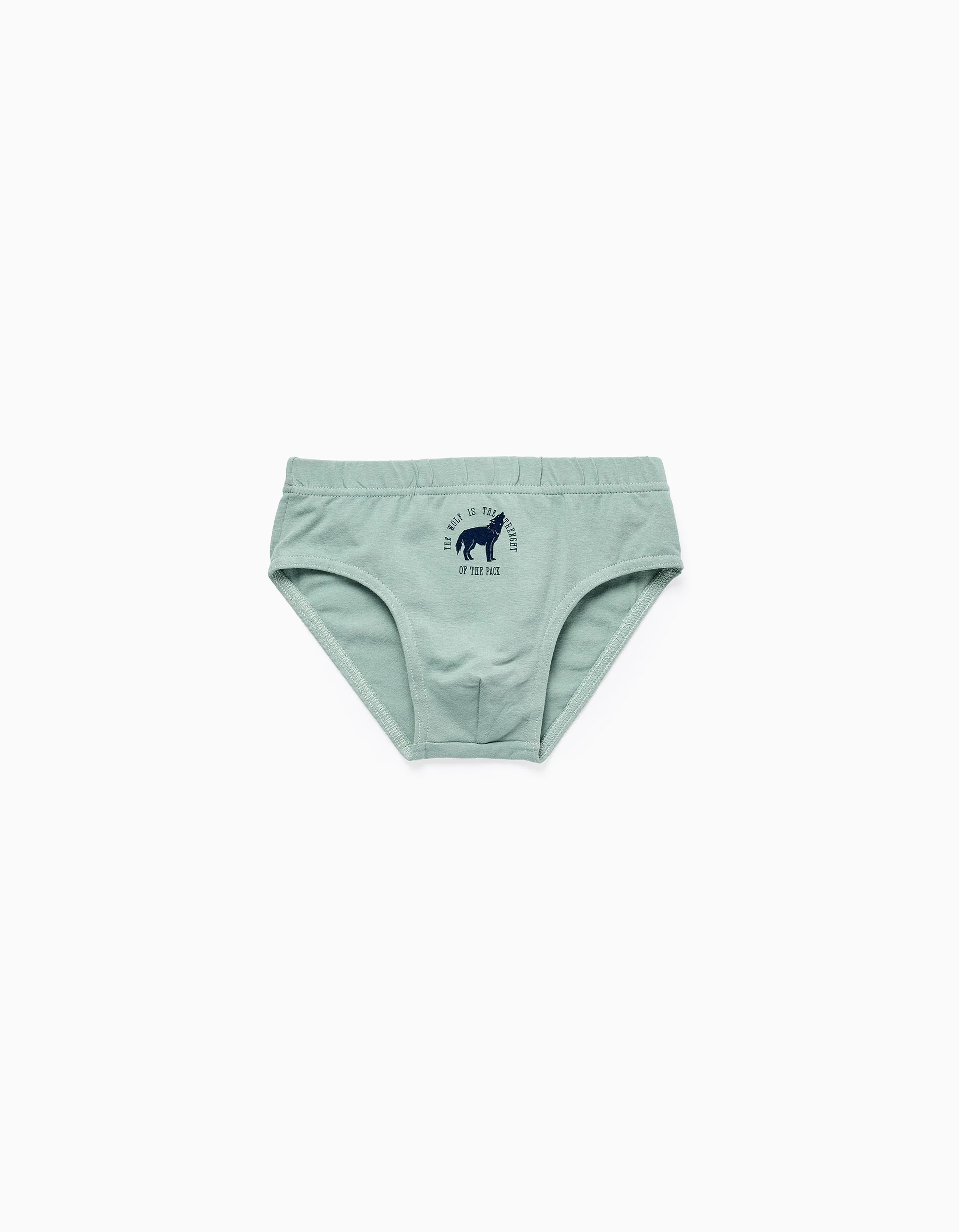 Pack of 5 Briefs for Boys 'Wolves & Bears', Multicolour