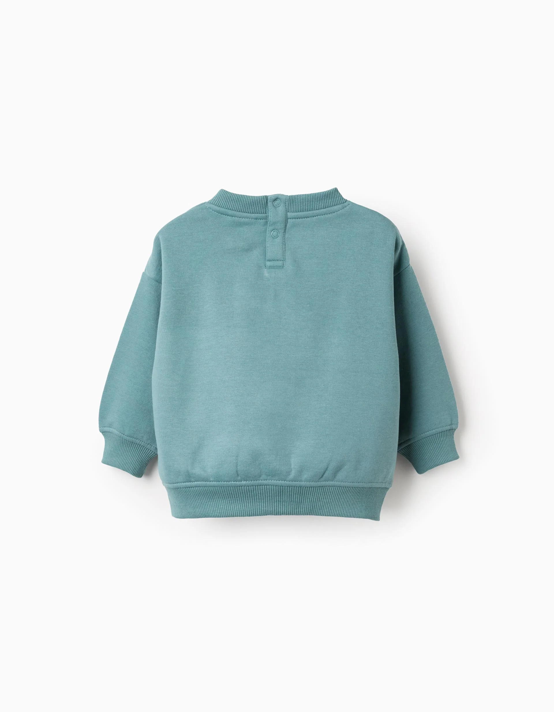 Brushed Sweatshirt for Baby Boys 'Little Animals', Turquoise
