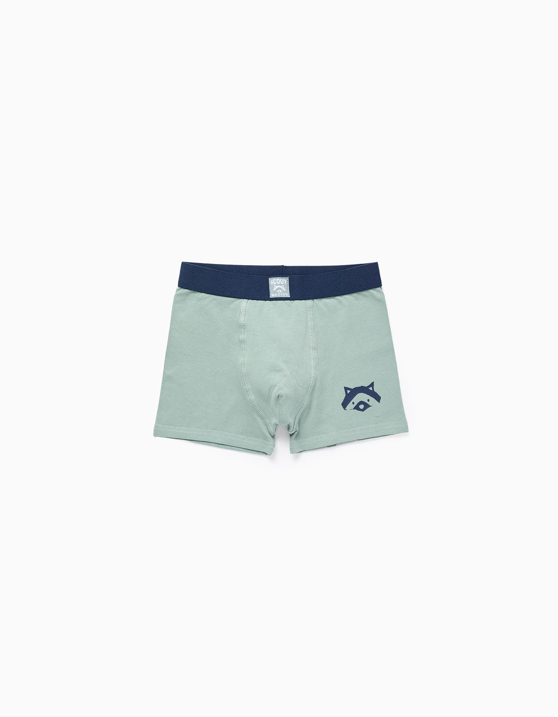Pack of 4 Boxer Shorts for Boys 'Stripes', Green/Grey/Blue