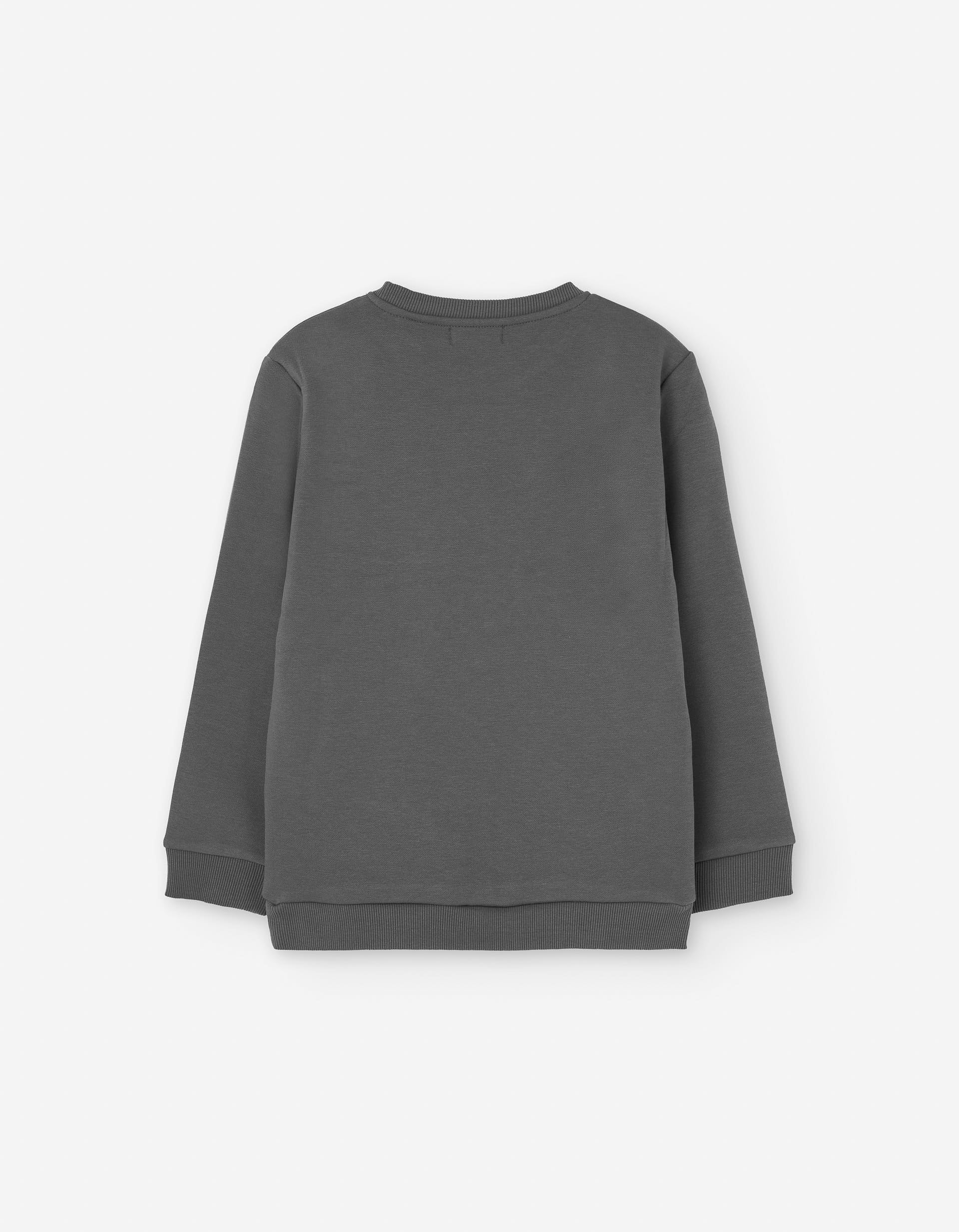 Brushed sweatshirt with front print for boys, dark grey