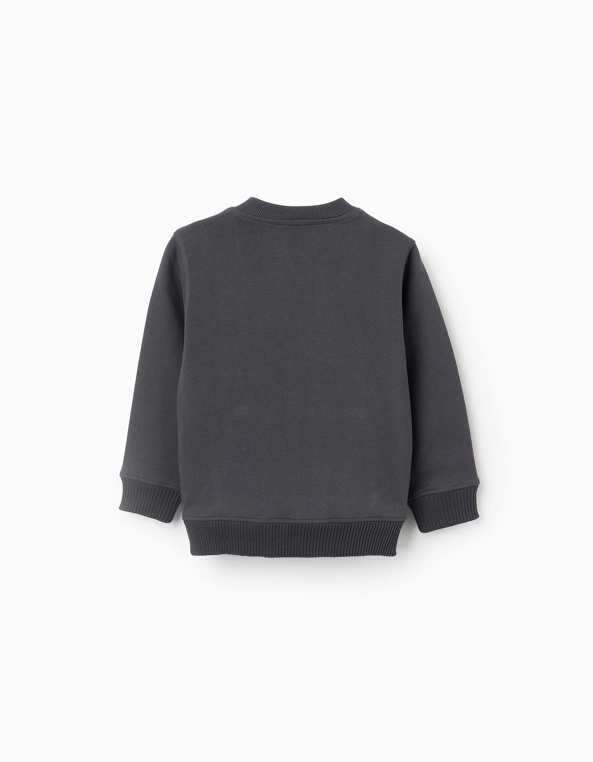 Cotton Sweatshirt with Kangaroo Pocket for Boys 'Story', Grey