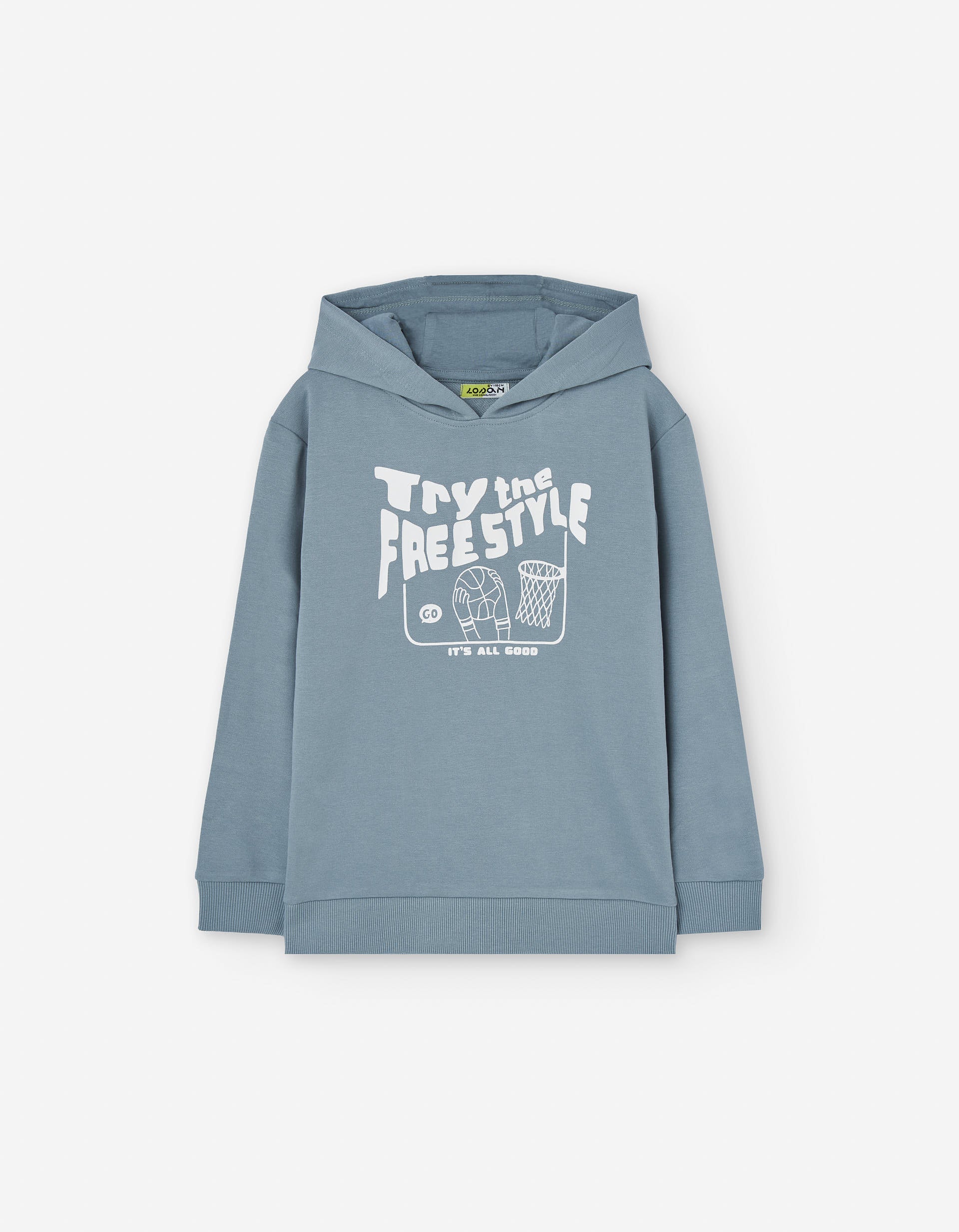 Hooded sweatshirt with 'try the freestyle' print for boys, grey