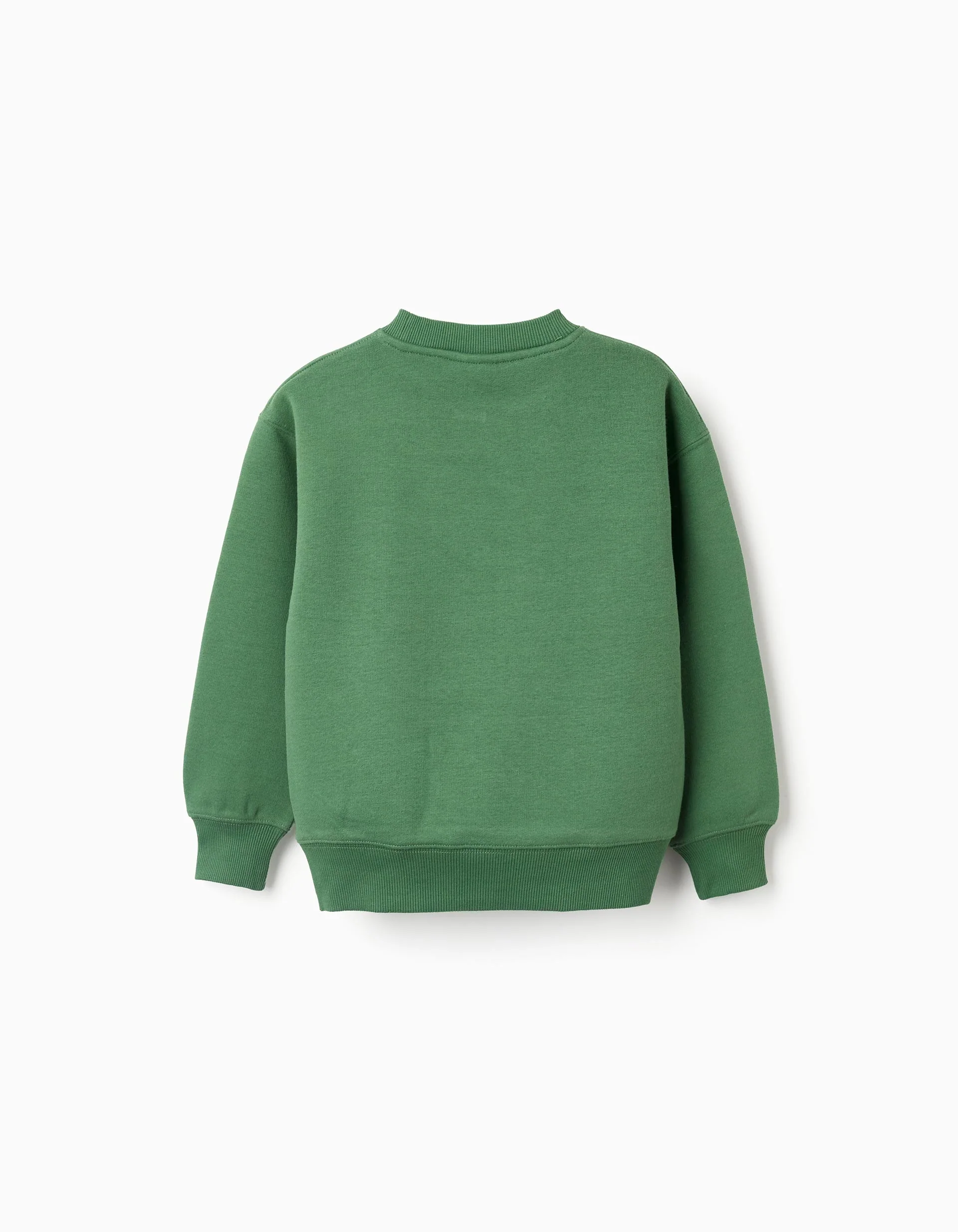 Brushed sweatshirt with 'Arts College' print for boys, green