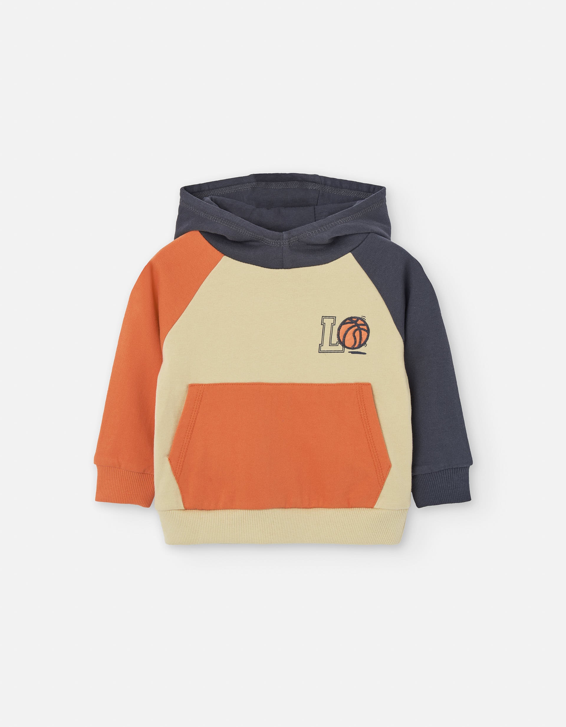 Brushed hooded sweatshirt with embroidery for baby boys, multicolour
