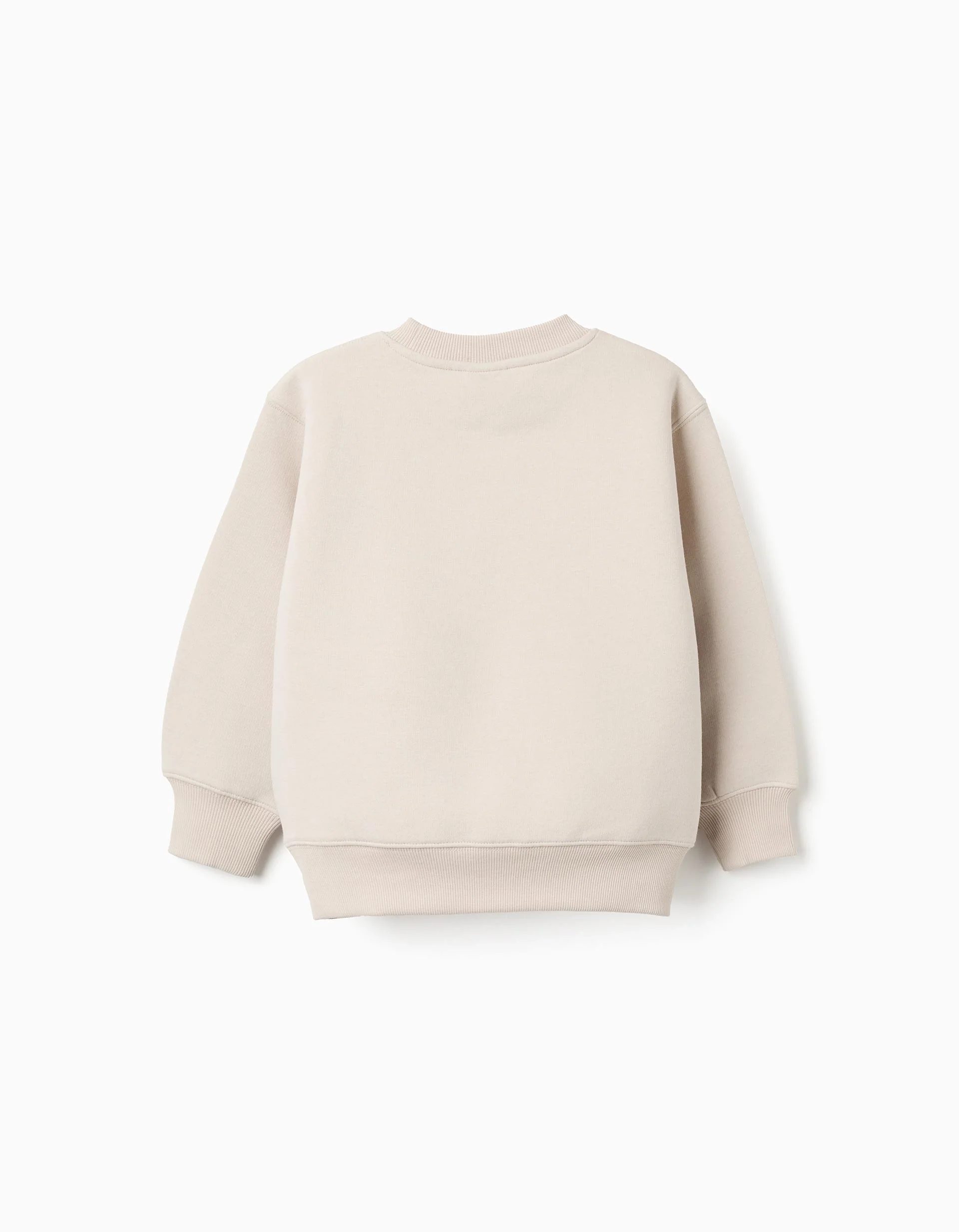 Brushed sweatshirt with 'North Carolina' print for boys, beige