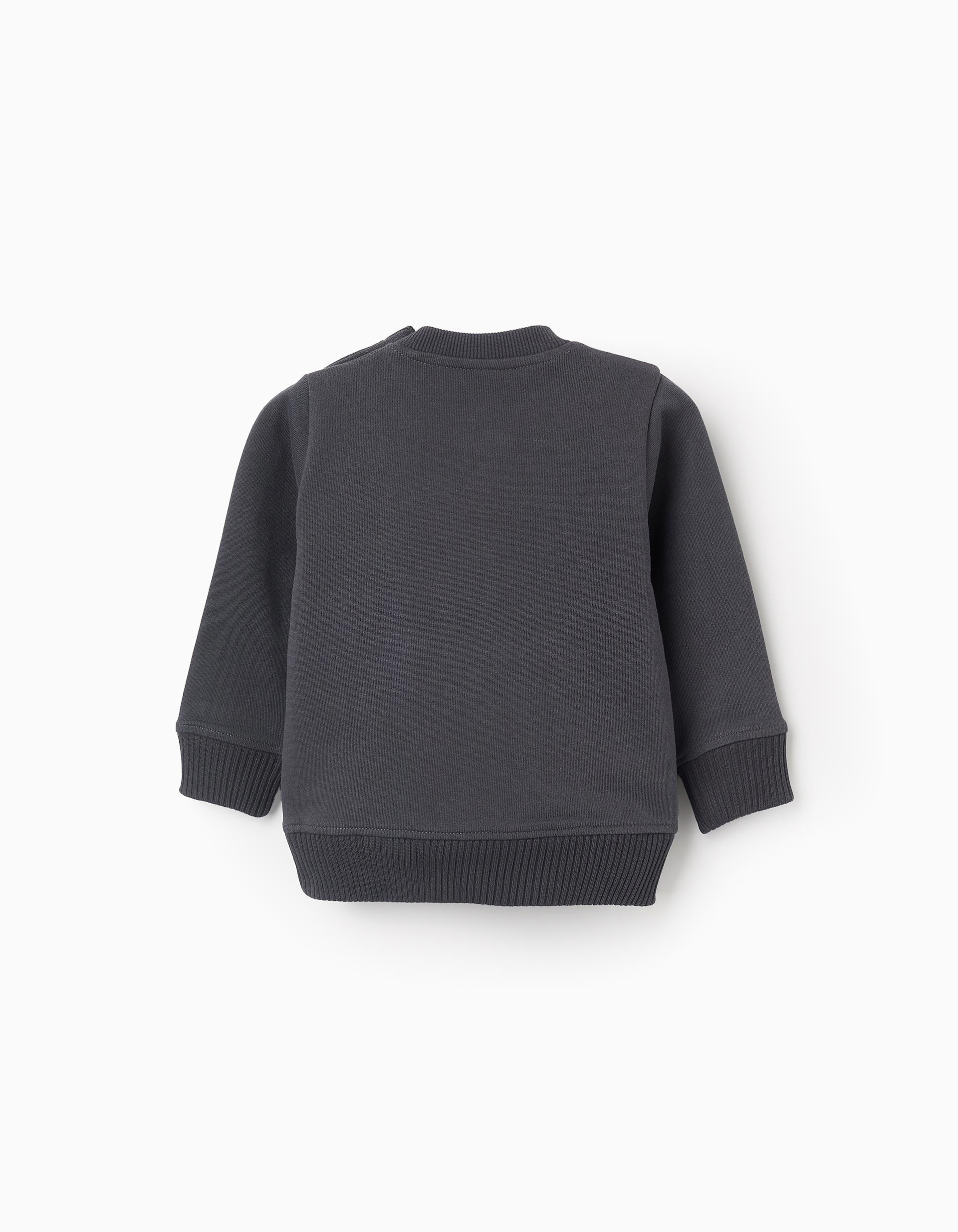 Cotton Sweatshirt with Kangaroo Pocket for Baby Boys 'Story', Grey