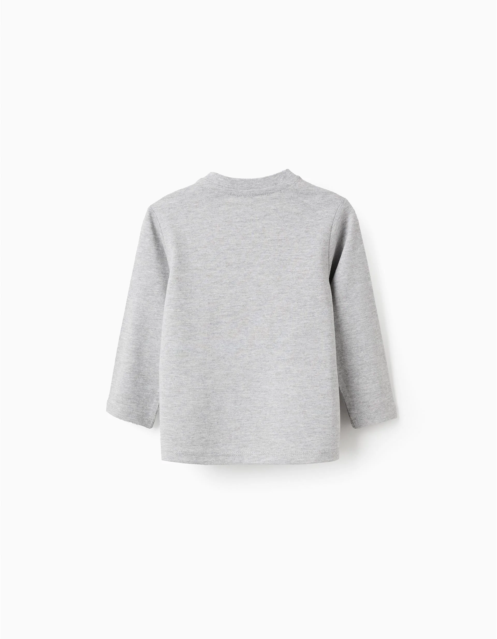 Long Sleeve Cotton T-Shirt for Baby Boys 'Friends', Grey